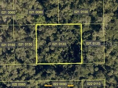 Property photo for SANTIAGO STREET, Estero, FL