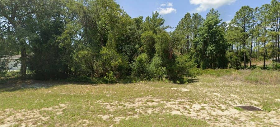 Property photo for TBD SW 135 STREET, Ocala, FL