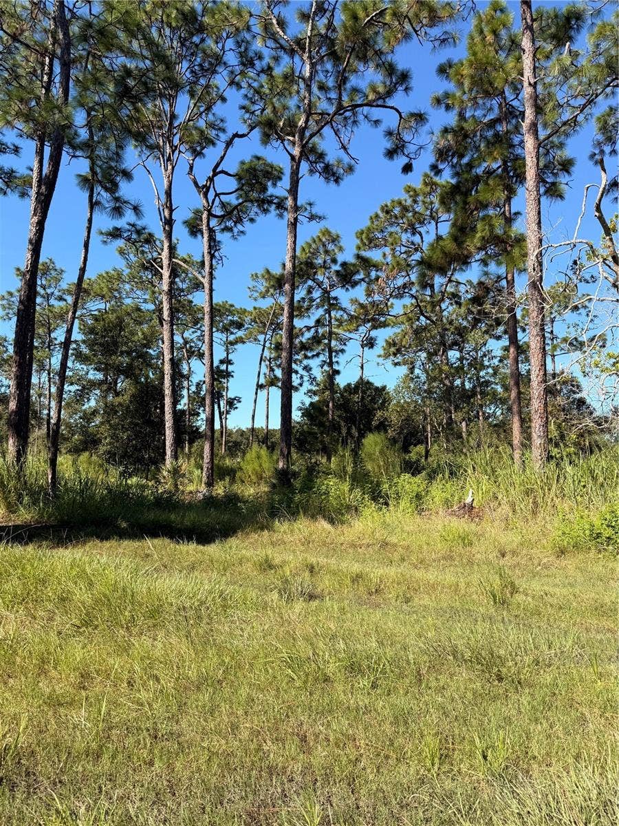 Property photo for POW MIA MEMORIAL DRIVE, St Cloud, FL