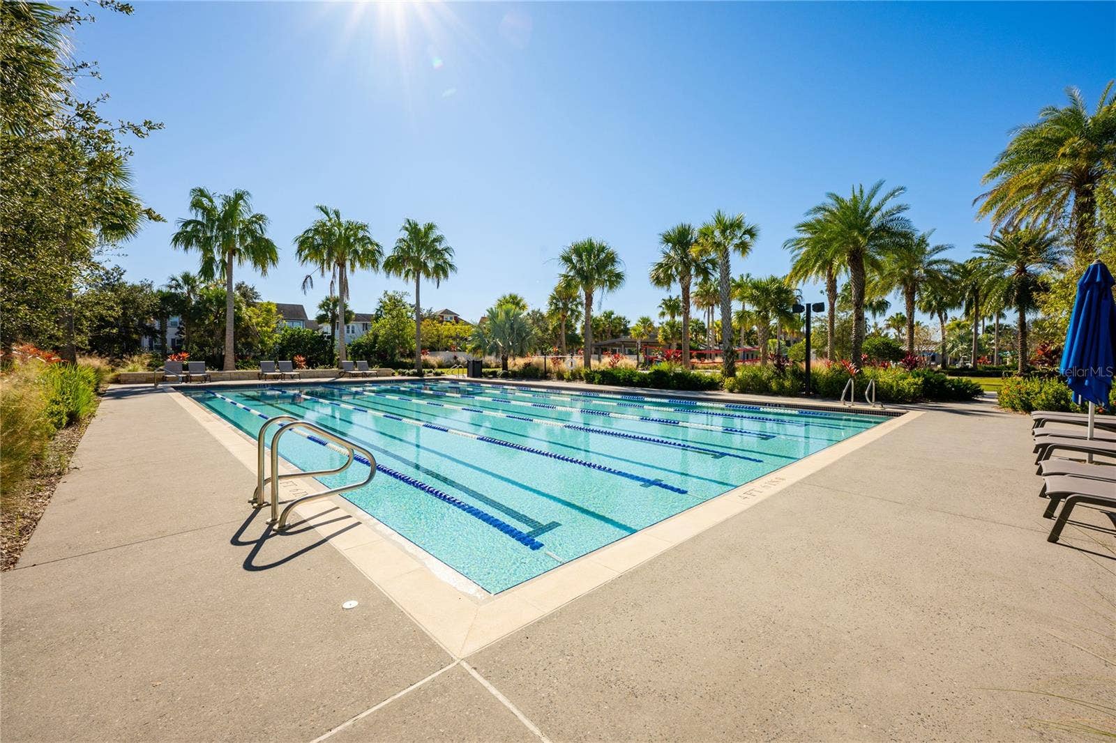 14061 WALCOTT AVENUE, Orlando, FL 32827 Lap Pool.