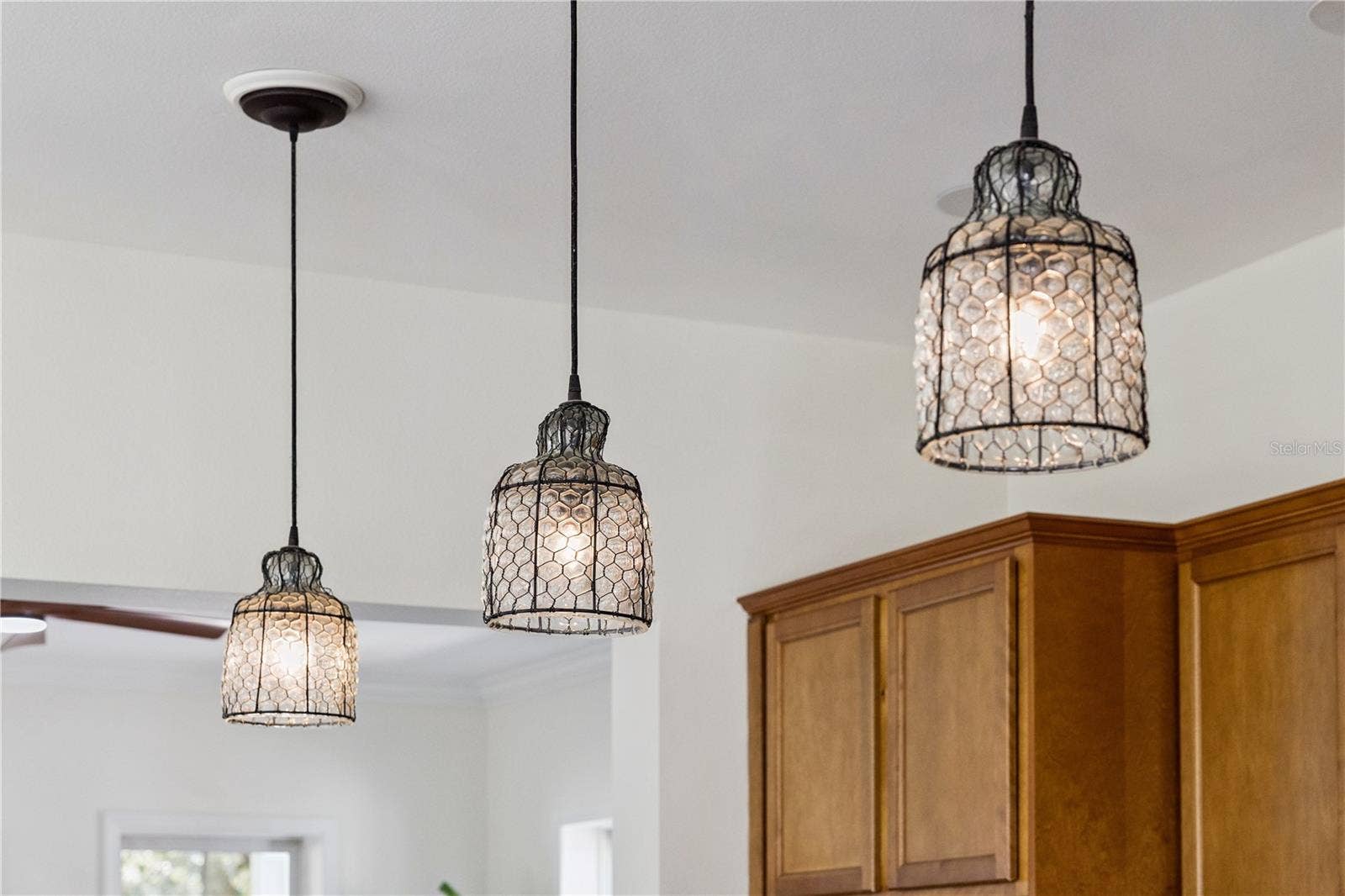 1362 UNION CLUB DRIVE, Winter Garden, FL 34787 Designer lighting throughout