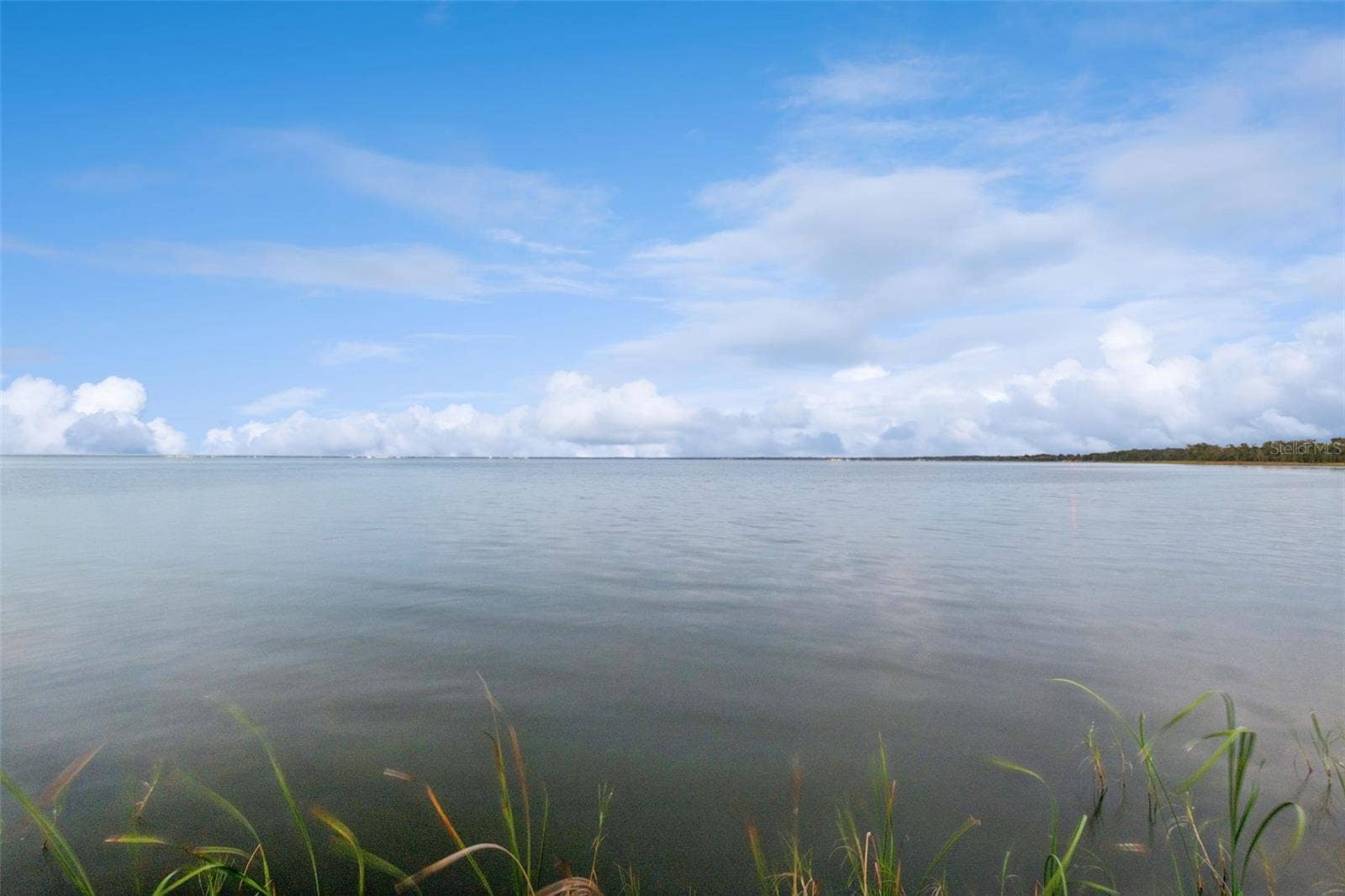 2107 BAY LINE ROAD, Oakland, FL 34787