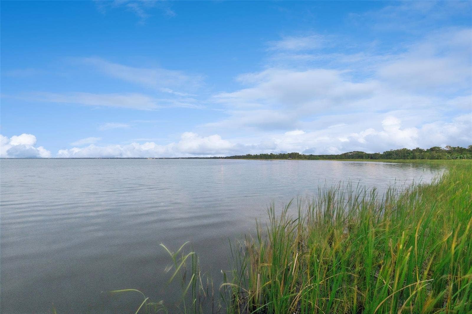 2107 BAY LINE ROAD, Oakland, FL 34787