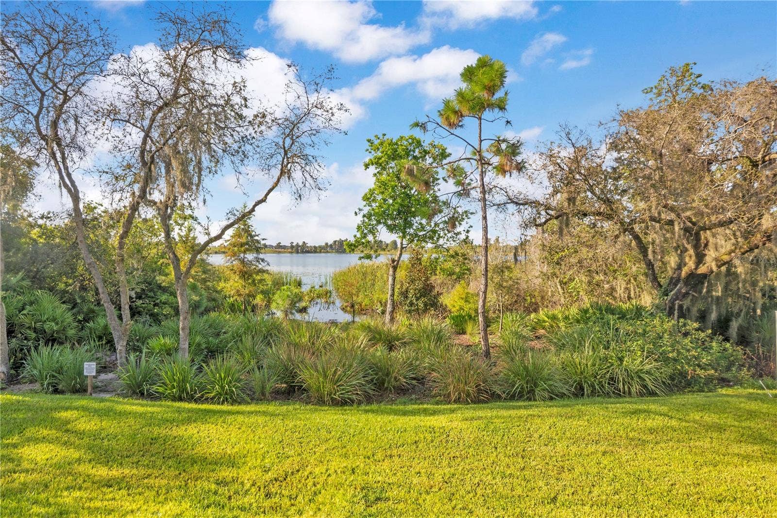 17600 LAKE STAR ROAD, Winter Garden, FL 34787 Spacious fenced backyard offers room for outdoor recreation and entertaining.