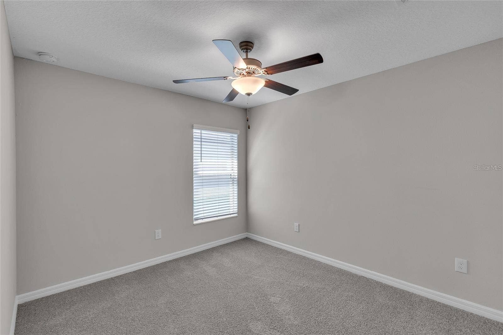 10357 SCARLET SKIMMER DRIVE, Riverview, FL 33578 10357 SCARLET SKIMMER DRIVE, Riverview, FL 33578