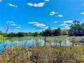 Property photo for 125 MATANZAS ROAD, Debary, FL