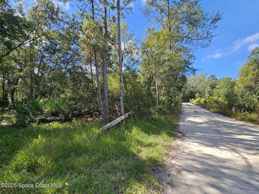 4600 BEACON LIGHT ROAD, Edgewater, FL 32141 4600 BEACON LIGHT ROAD, Edgewater, FL 32141