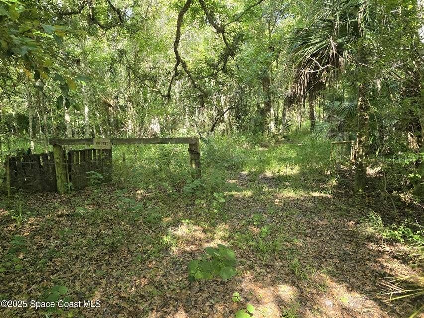 4600 BEACON LIGHT ROAD, Edgewater, FL 32141 4600 BEACON LIGHT ROAD, Edgewater, FL 32141