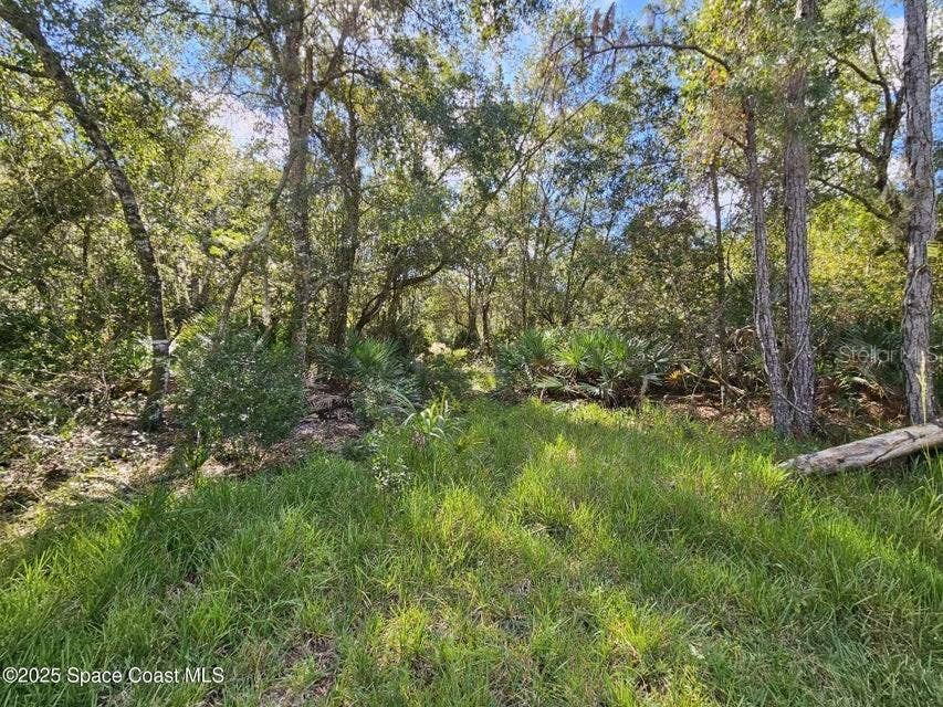4600 BEACON LIGHT ROAD, Edgewater, FL 32141 4600 BEACON LIGHT ROAD, Edgewater, FL 32141