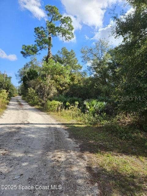 4600 BEACON LIGHT ROAD, Edgewater, FL 32141 4600 BEACON LIGHT ROAD, Edgewater, FL 32141