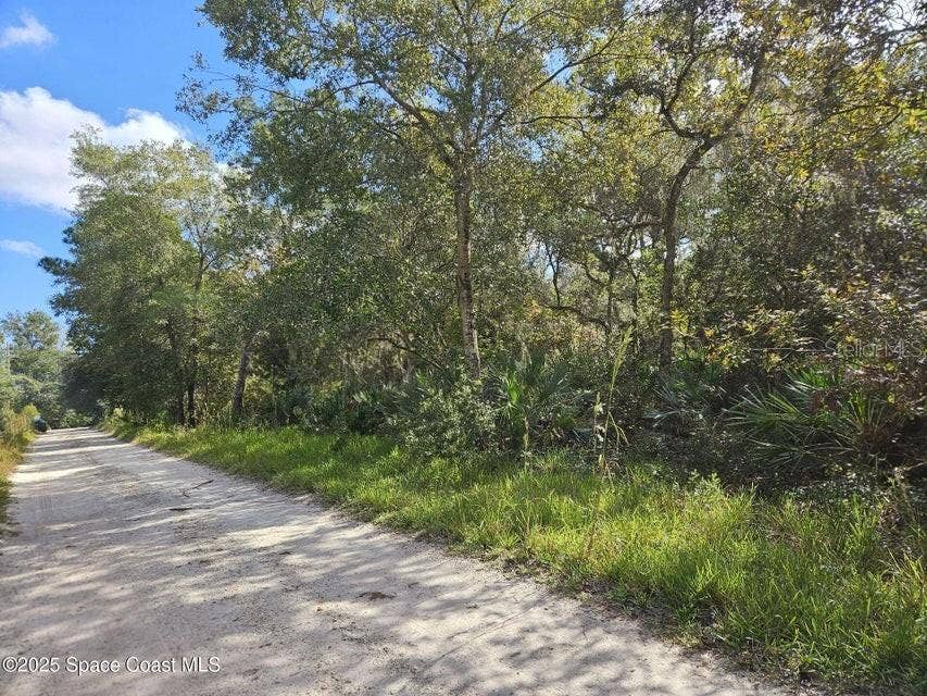 4600 BEACON LIGHT ROAD, Edgewater, FL 32141 4600 BEACON LIGHT ROAD, Edgewater, FL 32141