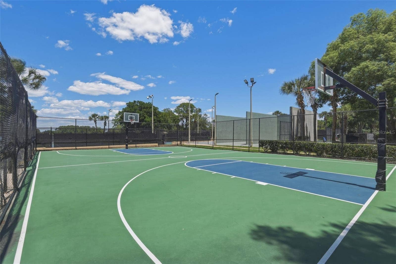 7201 MOSS LEAF LANE, Orlando, FL 32819 Community Basketball Courts