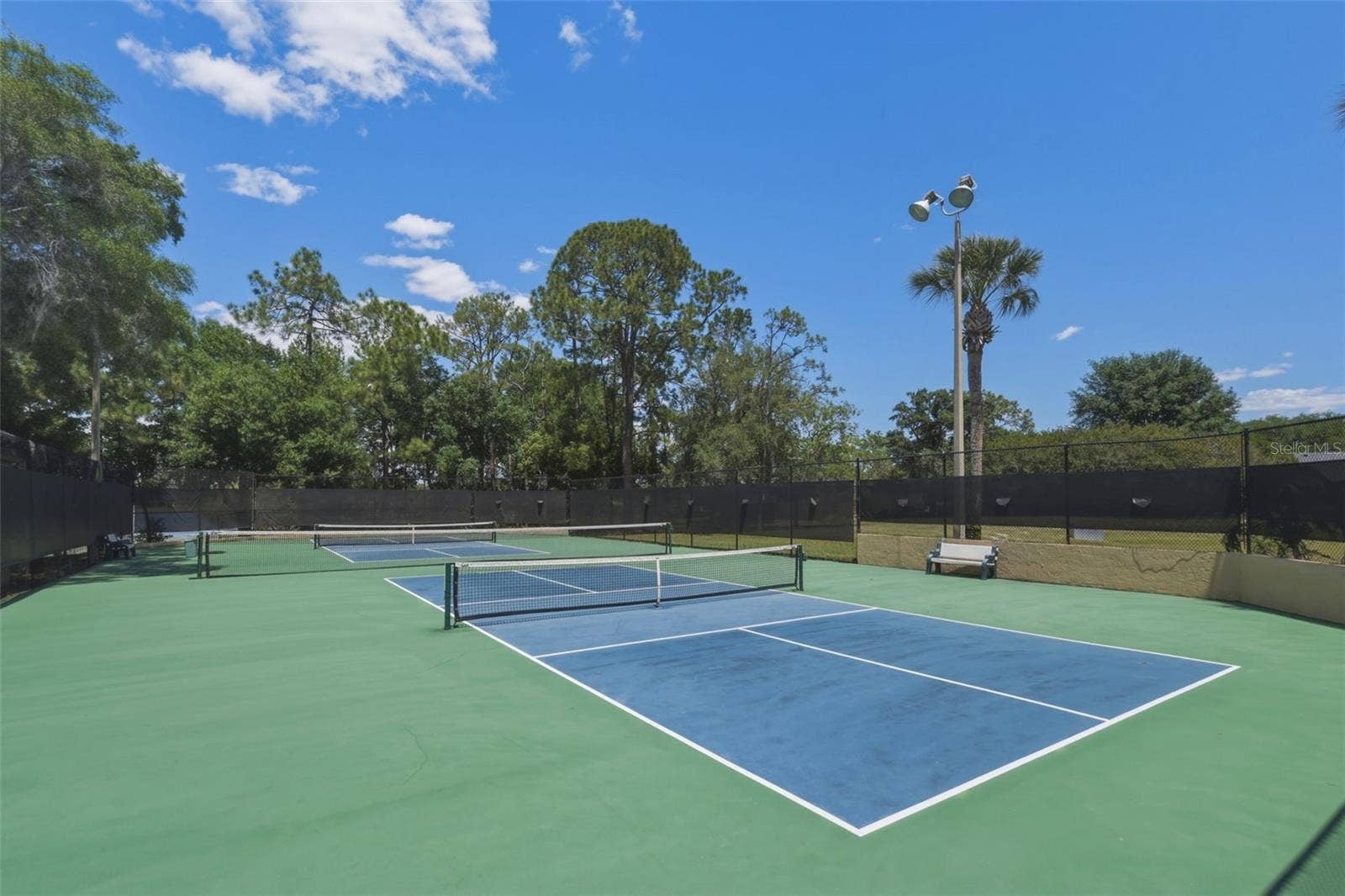 7201 MOSS LEAF LANE, Orlando, FL 32819 Community Pickle Ball Courts