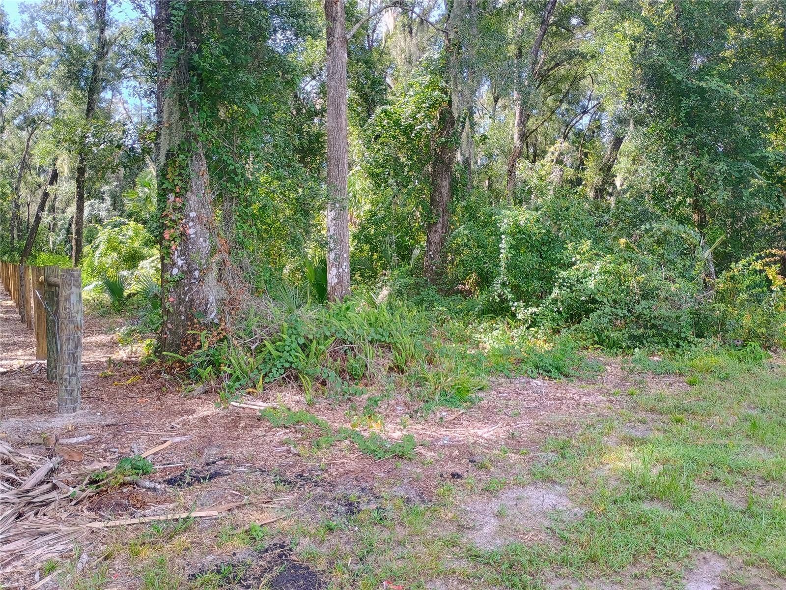 N SPRING GARDEN AVENUE, Deland, FL 32720 N SPRING GARDEN AVENUE, Deland, FL 32720