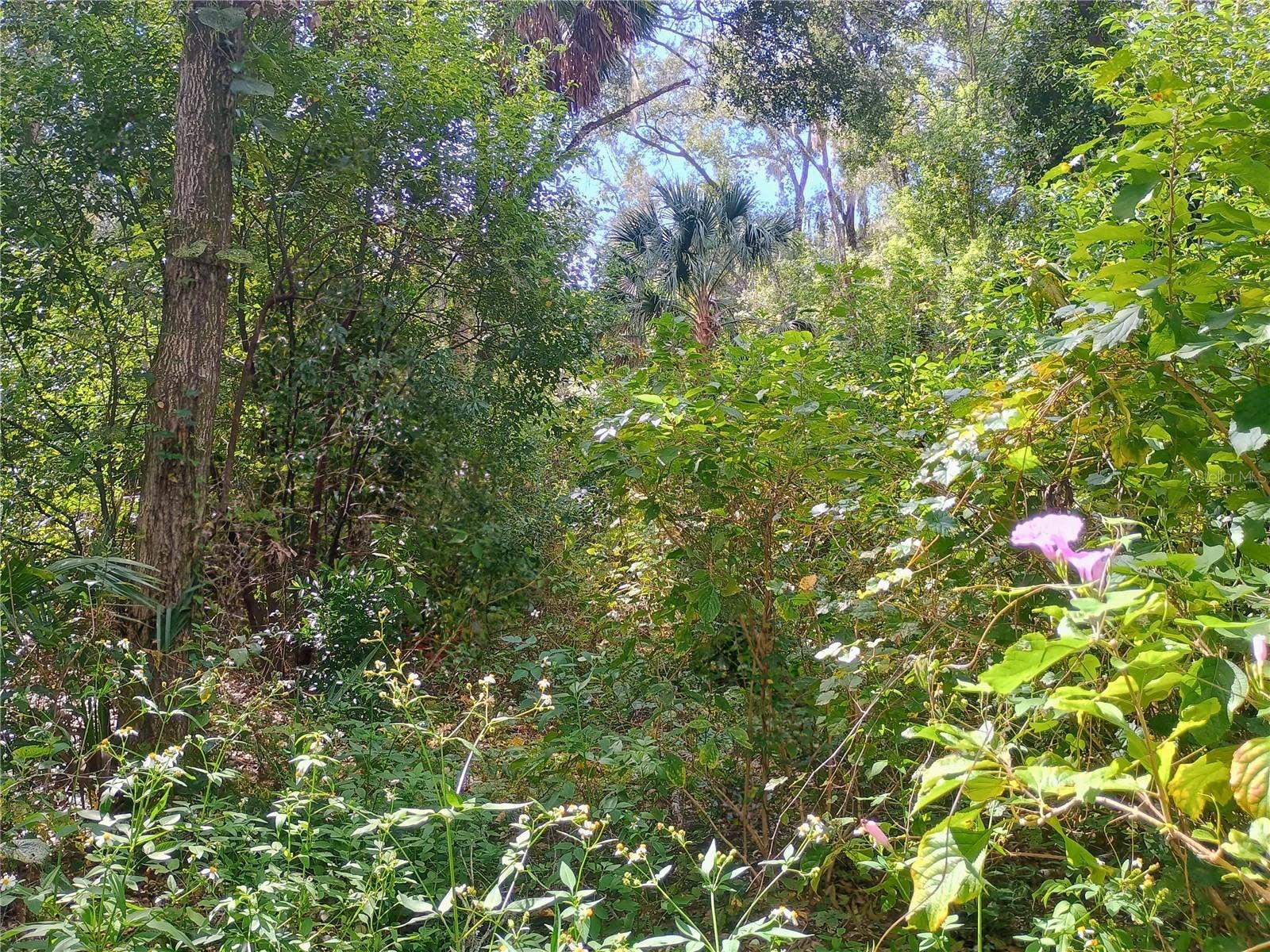 N SPRING GARDEN AVENUE, Deland, FL 32720 N SPRING GARDEN AVENUE, Deland, FL 32720