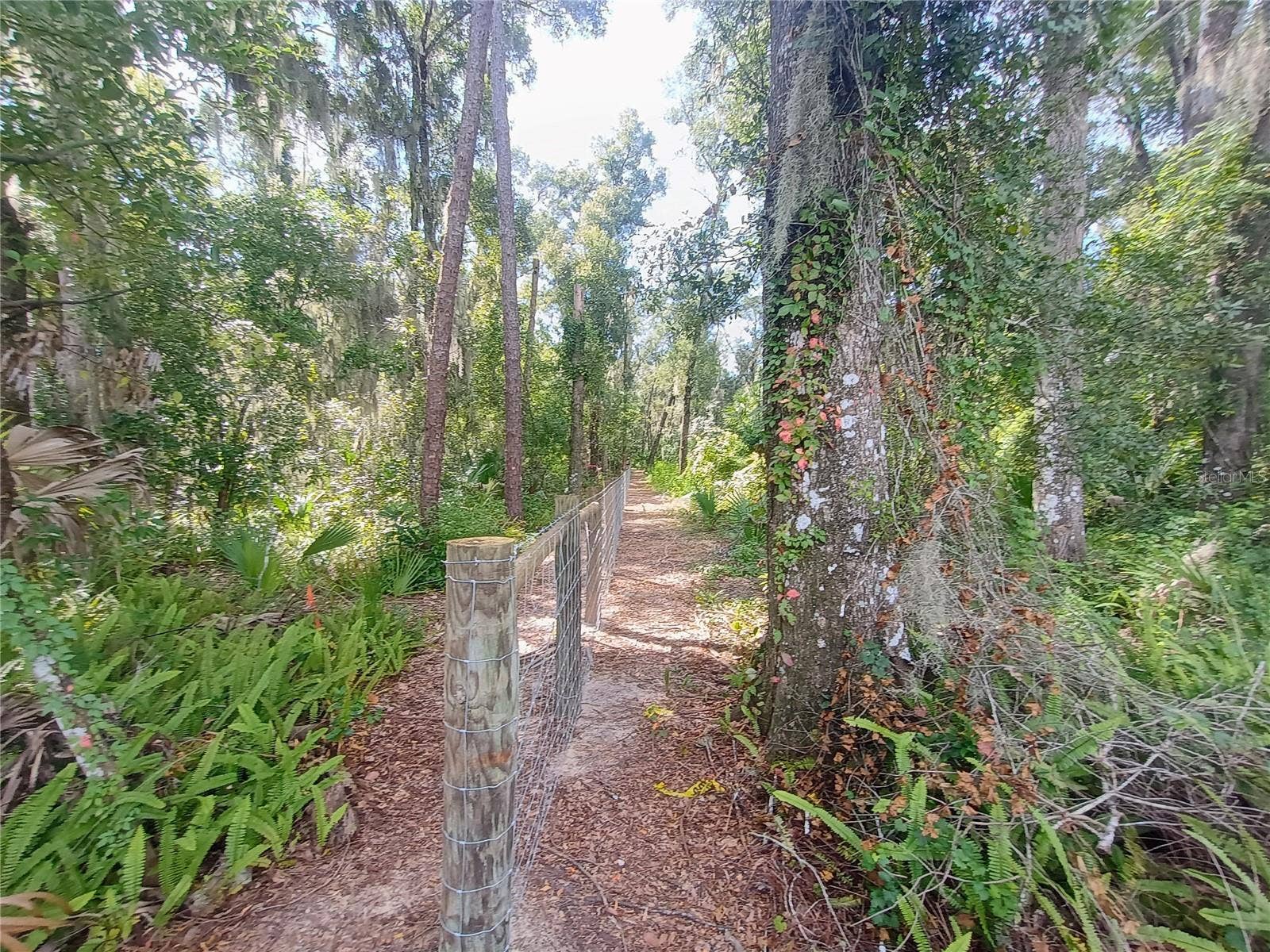 N SPRING GARDEN AVENUE, Deland, FL 32720 N SPRING GARDEN AVENUE, Deland, FL 32720
