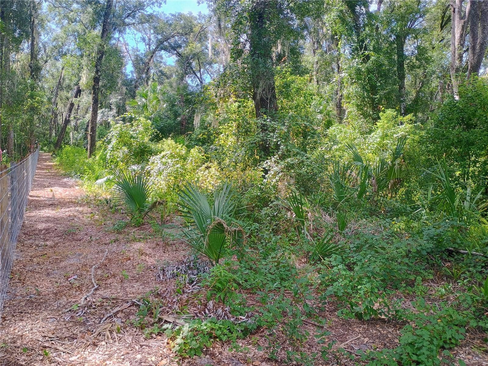 N SPRING GARDEN AVENUE, Deland, FL 32720 N SPRING GARDEN AVENUE, Deland, FL 32720