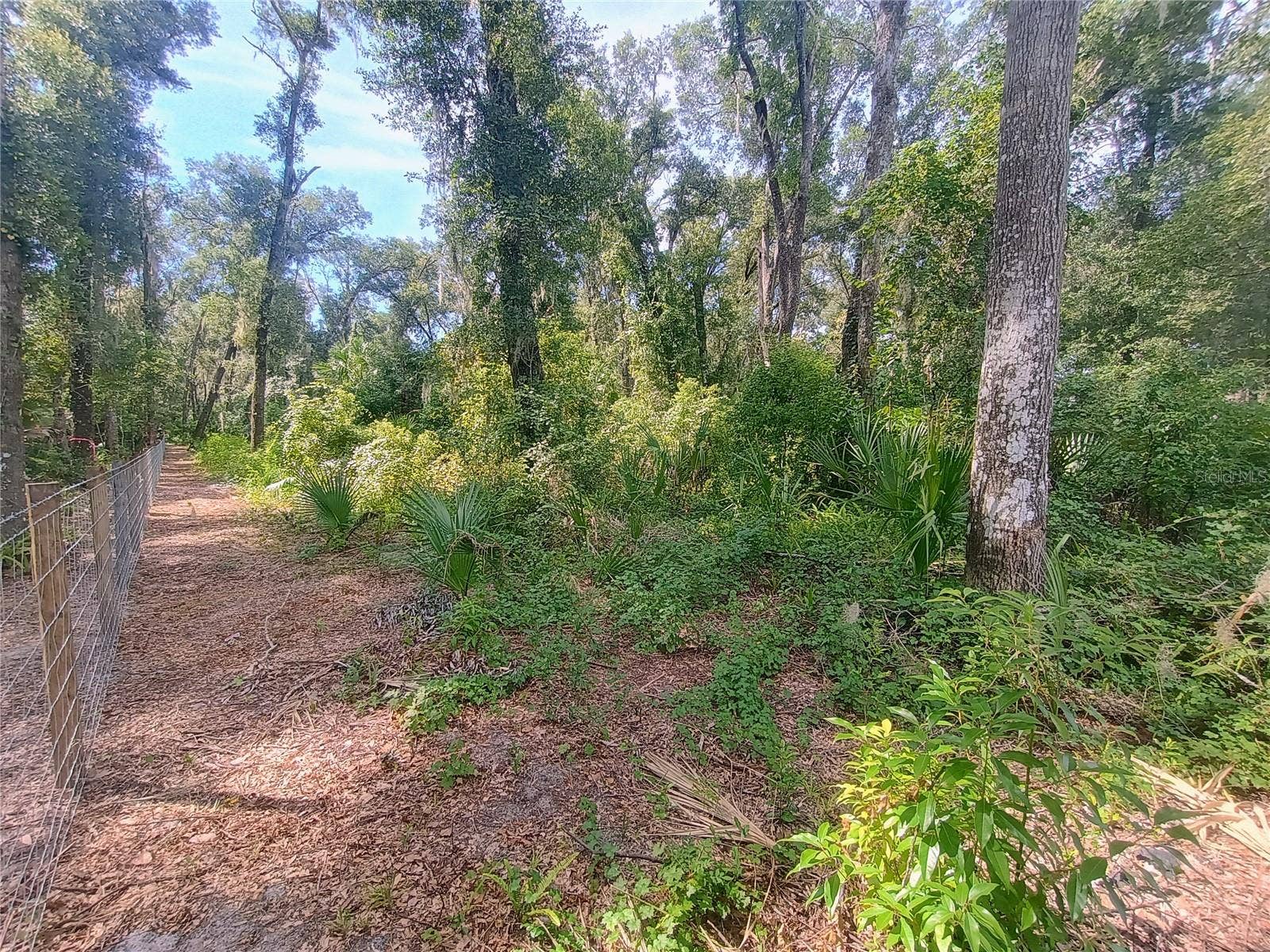 N SPRING GARDEN AVENUE, Deland, FL 32720 N SPRING GARDEN AVENUE, Deland, FL 32720