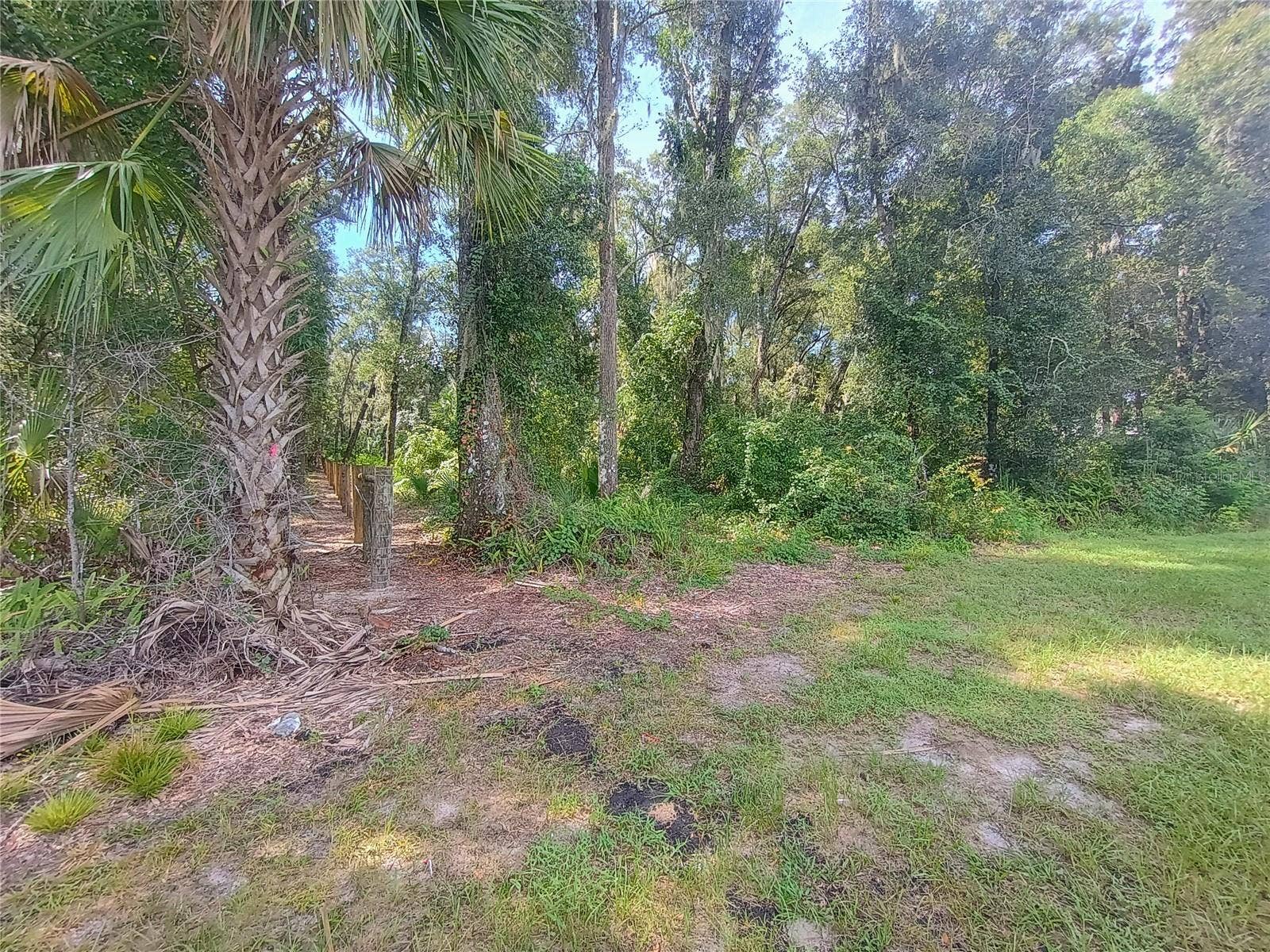 N SPRING GARDEN AVENUE, Deland, FL 32720 N SPRING GARDEN AVENUE, Deland, FL 32720