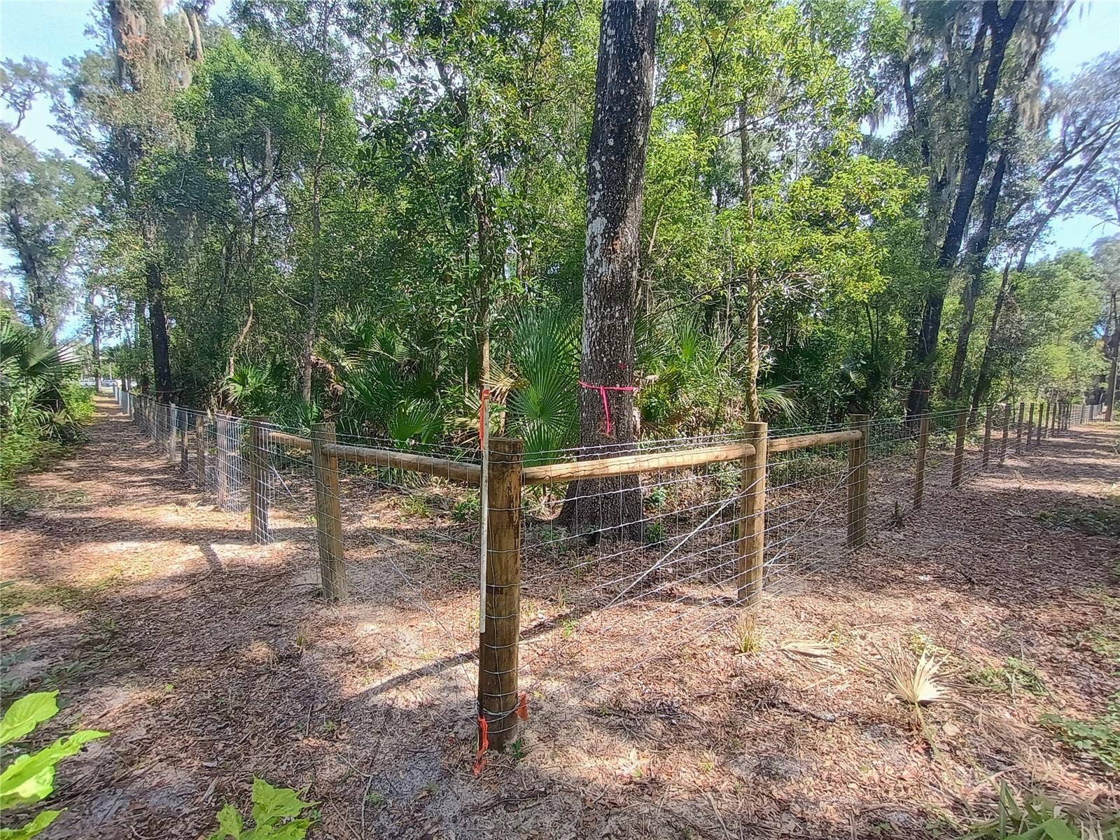 N SPRING GARDEN AVENUE, Deland, FL 32720 N SPRING GARDEN AVENUE, Deland, FL 32720