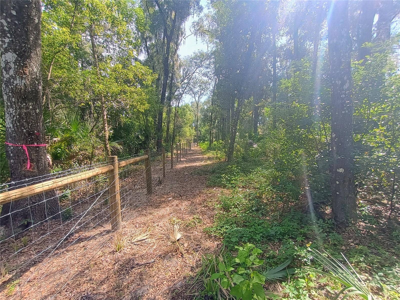 N SPRING GARDEN AVENUE, Deland, FL 32720 N SPRING GARDEN AVENUE, Deland, FL 32720
