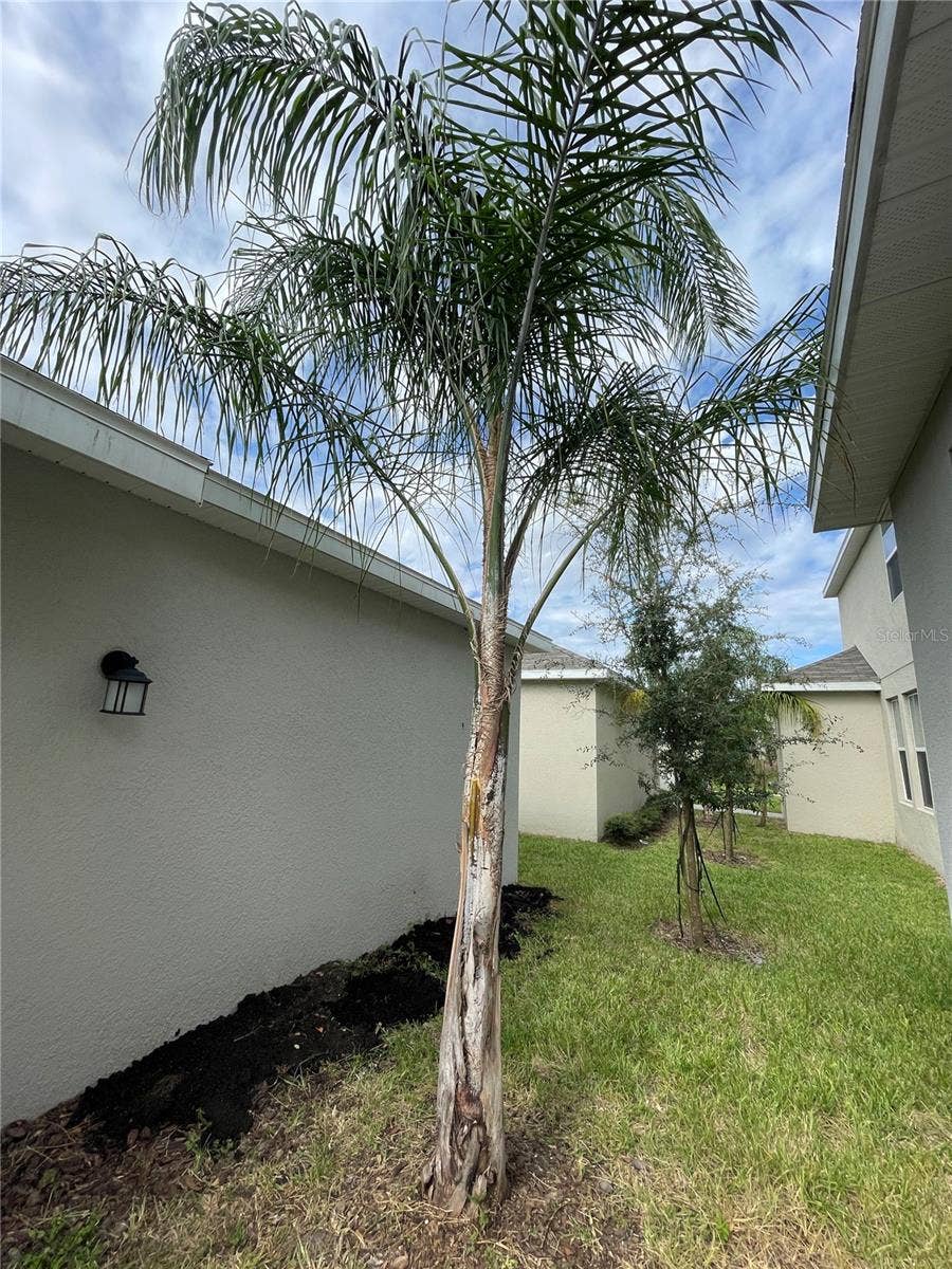 14180 TITLE WAY, Winter Garden, FL 34787 14180 TITLE WAY, Winter Garden, FL 34787