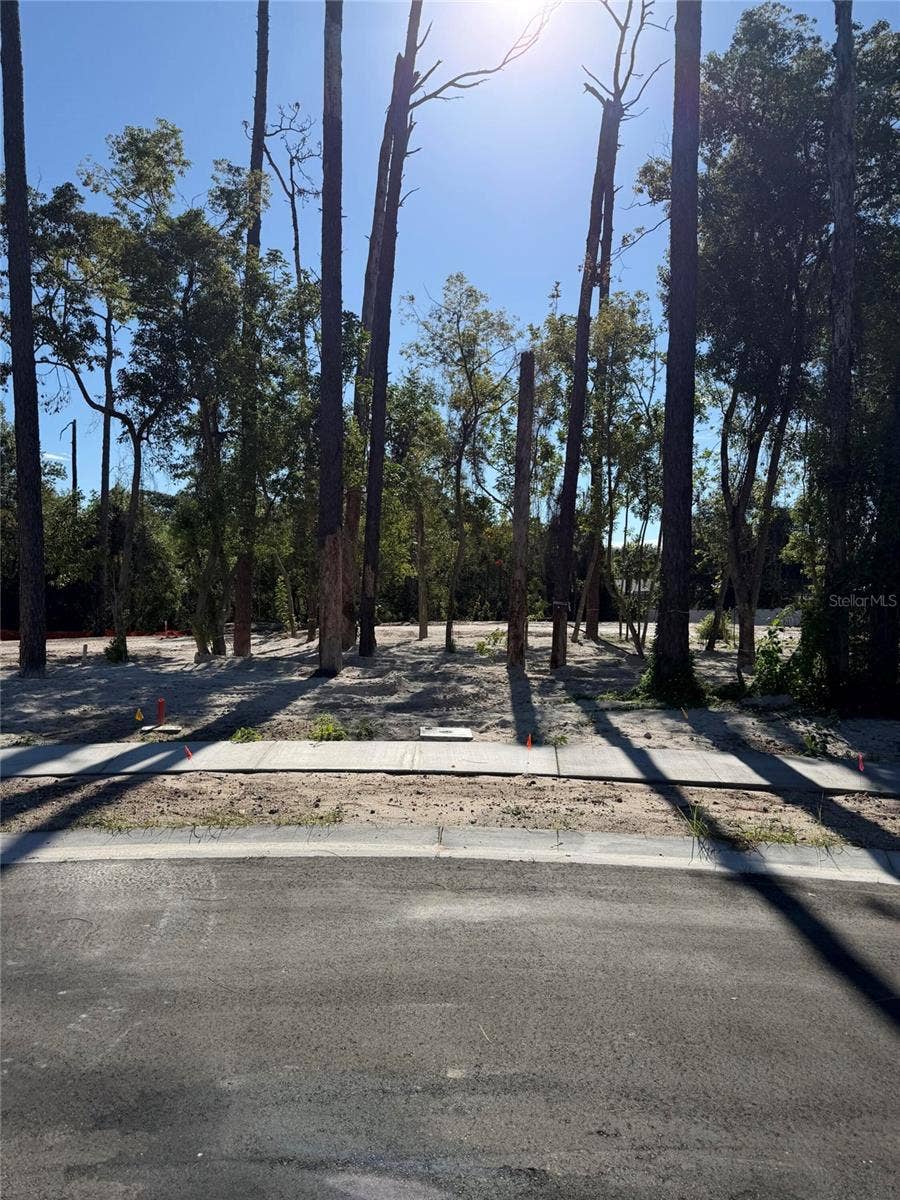 Property photo for 1302 ALMARIA COURT, Palm Harbor, FL