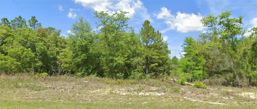 Property photo for 6603 N BEDSTROW BOULEVARD, Citrus Springs, FL