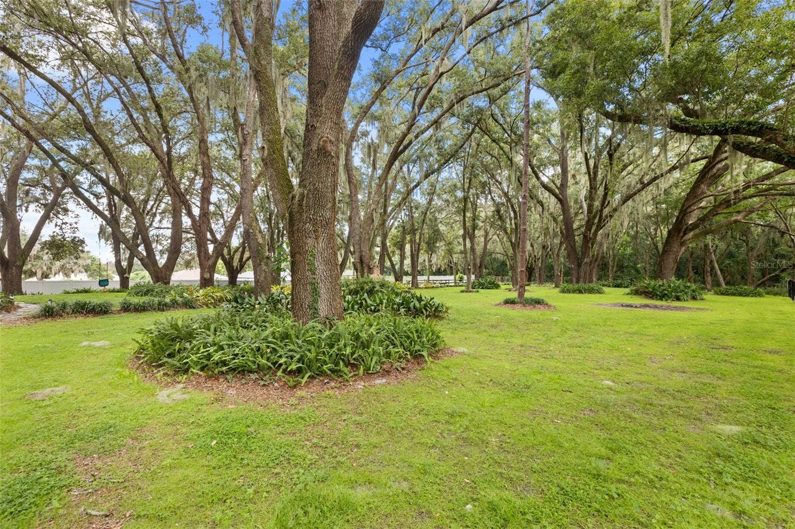 144 TILDENVILLE SCHOOL ROAD, Winter Garden, FL 34787 144 TILDENVILLE SCHOOL ROAD, Winter Garden, FL 34787