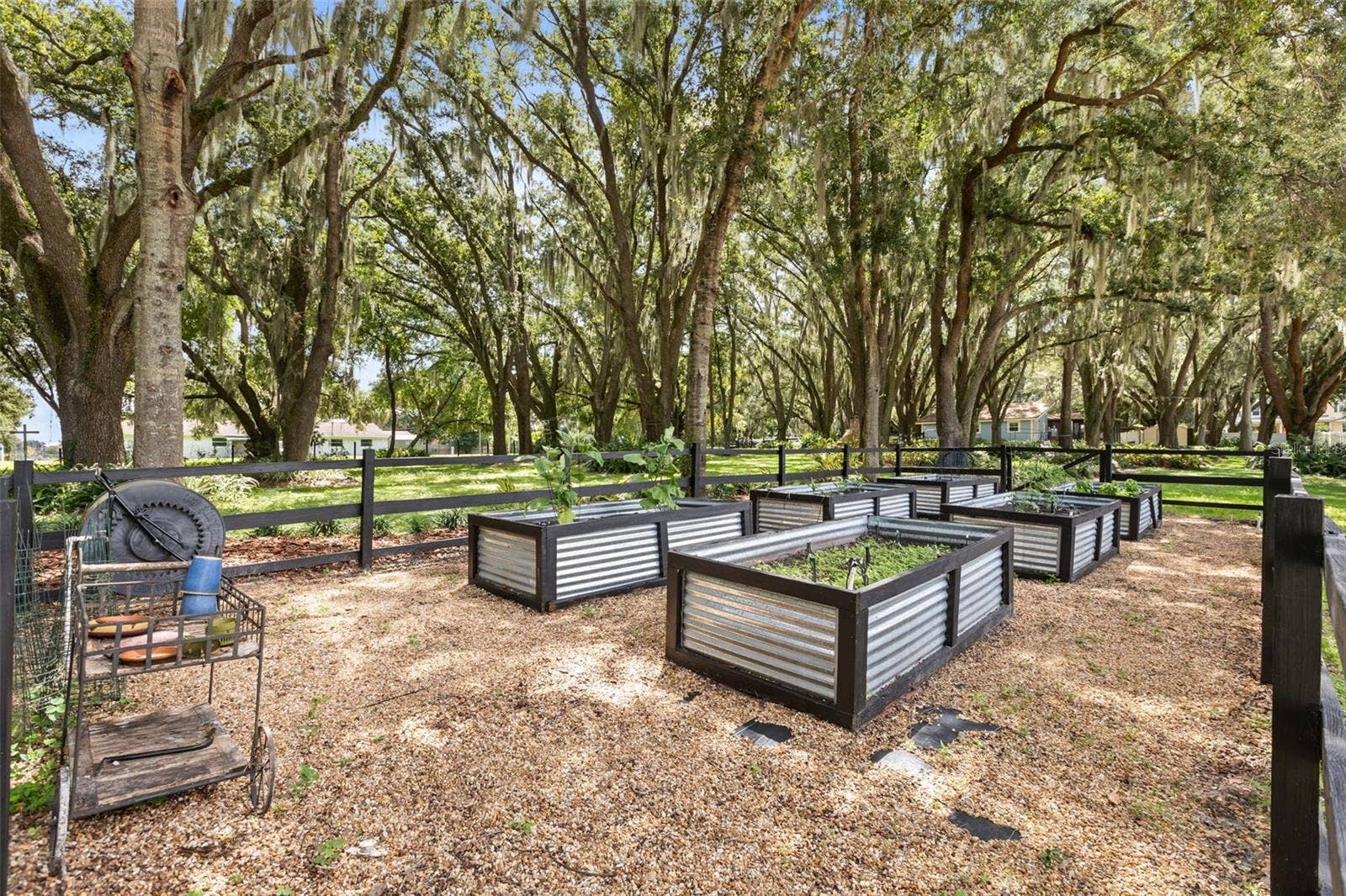 144 TILDENVILLE SCHOOL ROAD, Winter Garden, FL 34787 144 TILDENVILLE SCHOOL ROAD, Winter Garden, FL 34787