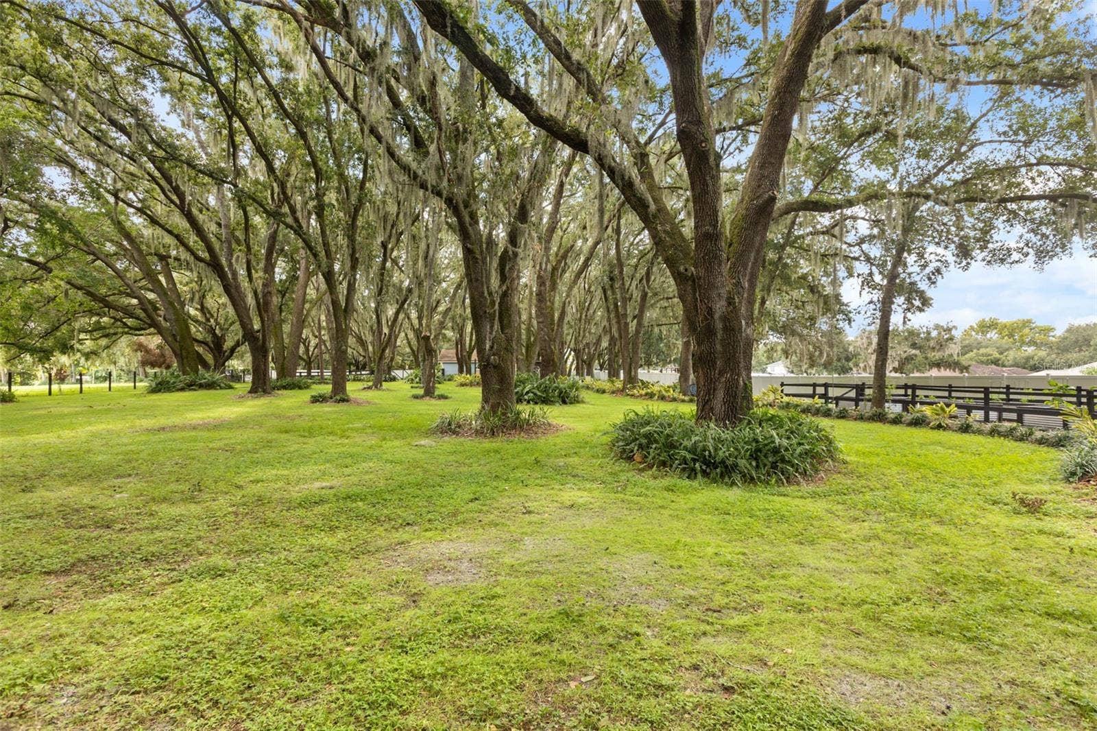 144 TILDENVILLE SCHOOL ROAD, Winter Garden, FL 34787 144 TILDENVILLE SCHOOL ROAD, Winter Garden, FL 34787