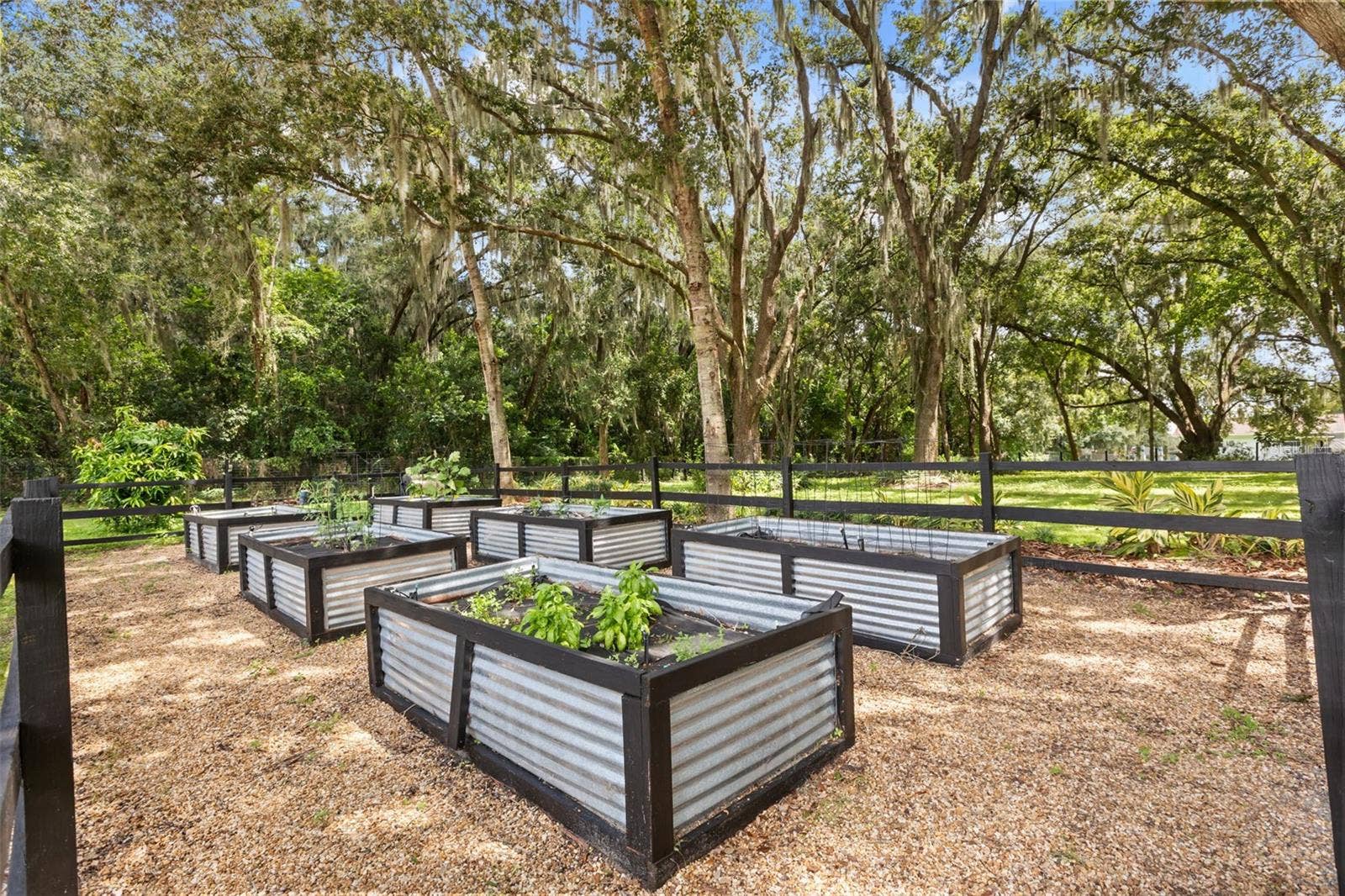 144 TILDENVILLE SCHOOL ROAD, Winter Garden, FL 34787 144 TILDENVILLE SCHOOL ROAD, Winter Garden, FL 34787