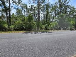 Property photo for 000 W BLUEBELL AVENUE, Eustis, FL
