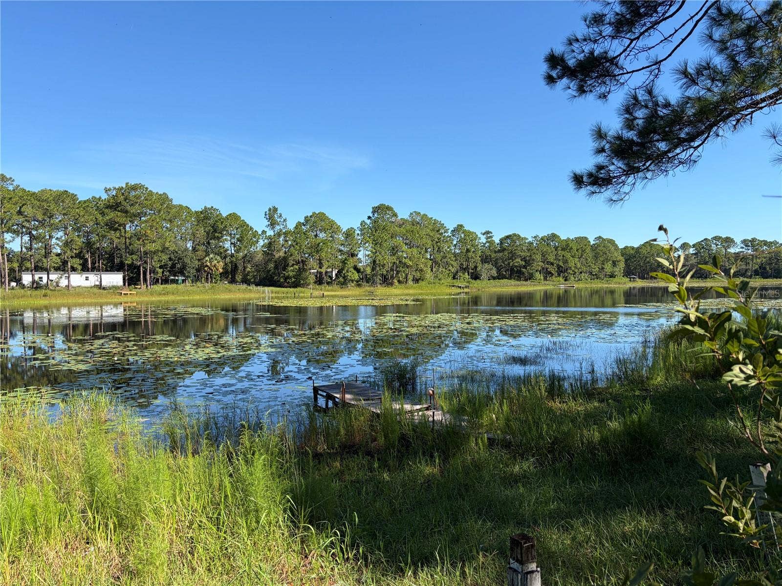 Lakeview