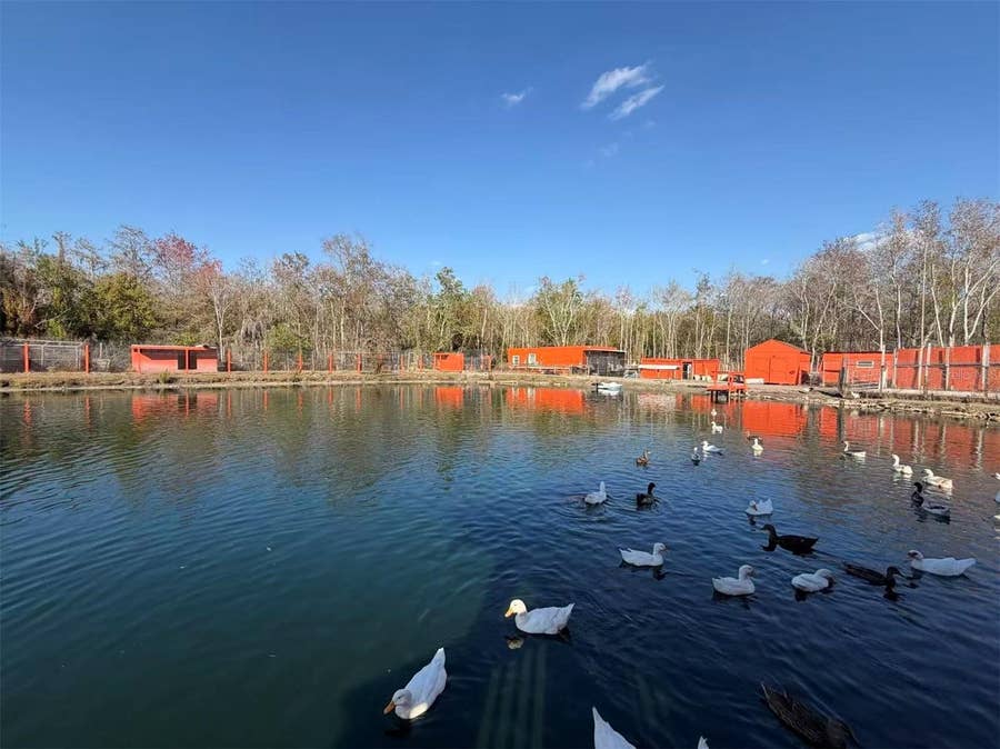 Property photo for 3079 RAMBLER AVENUE, St Cloud, FL