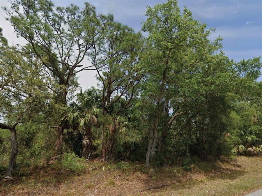 Property photo for 23280 WICKER AVENUE, Punta Gorda, FL