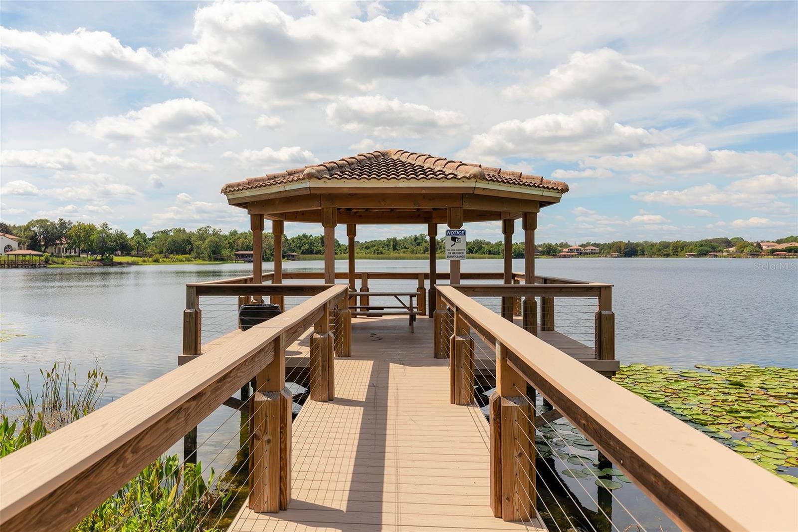 11727 DELWICK DRIVE, Windermere, FL 34786 Community Dock