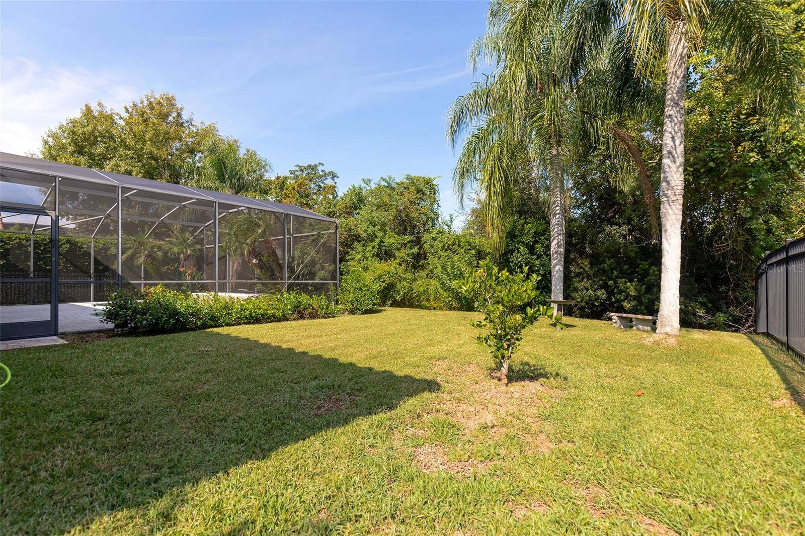 11727 DELWICK DRIVE, Windermere, FL 34786 Backyard