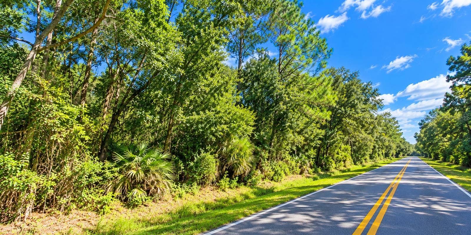 0 OLD KISSIMMEE ROAD, Davenport, FL 33896 0 OLD KISSIMMEE ROAD, Davenport, FL 33896