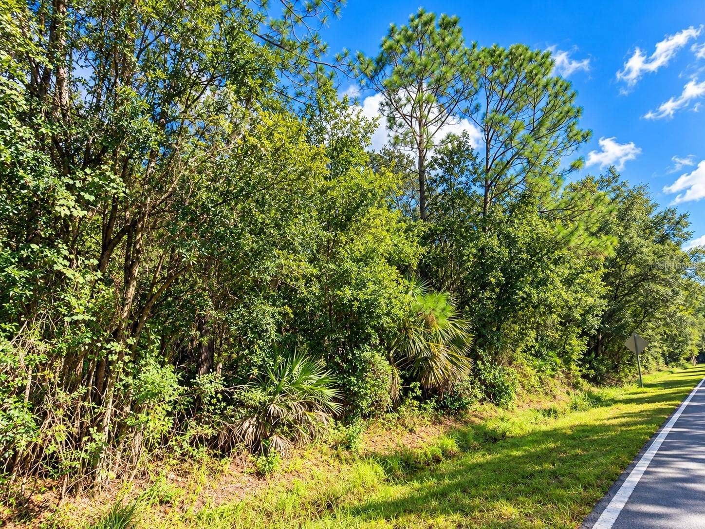 0 OLD KISSIMMEE ROAD, Davenport, FL 33896 0 OLD KISSIMMEE ROAD, Davenport, FL 33896
