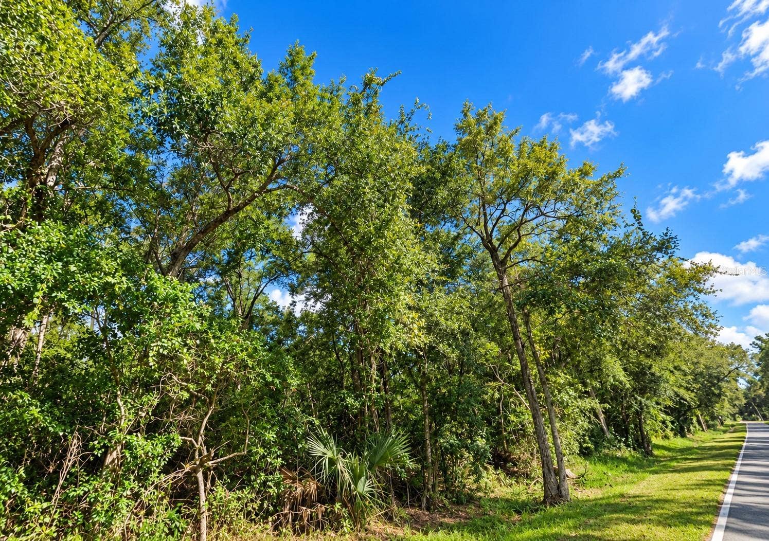 0 OLD KISSIMMEE ROAD, Davenport, FL 33896 0 OLD KISSIMMEE ROAD, Davenport, FL 33896