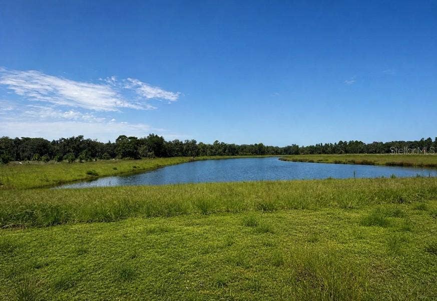 Take a free ferry to Hontoon Island State Park, 2 miles away. Fish, hike, kayak, bike, or camp.