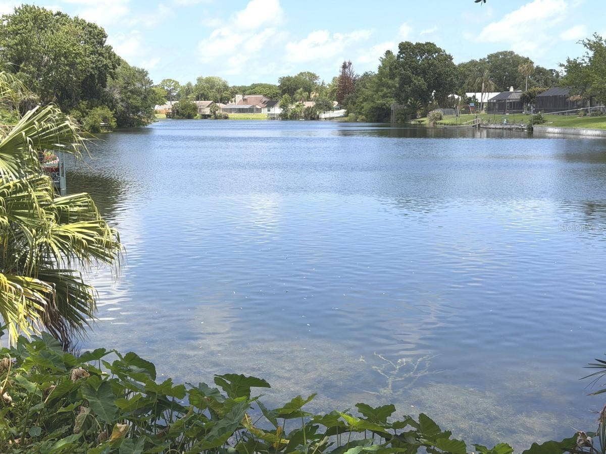 824 BLACK DUCK DRIVE, Port Orange, FL 32127