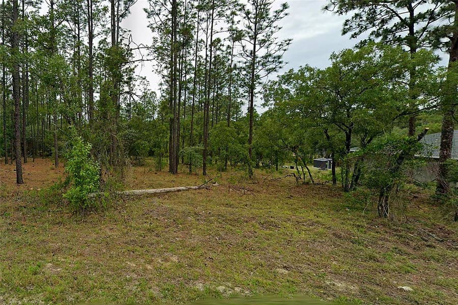 Property photo for NW REDWOOD DRIVE, Dunnellon, FL