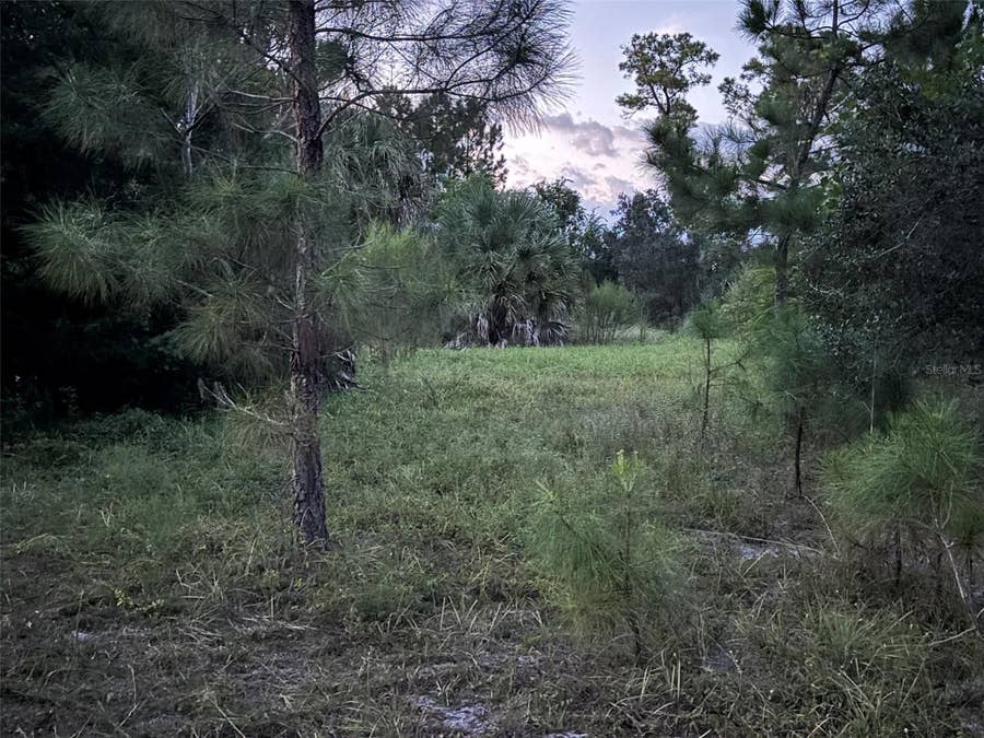 Property photo for 30735-30745 DEVON COURT, Eustis, FL