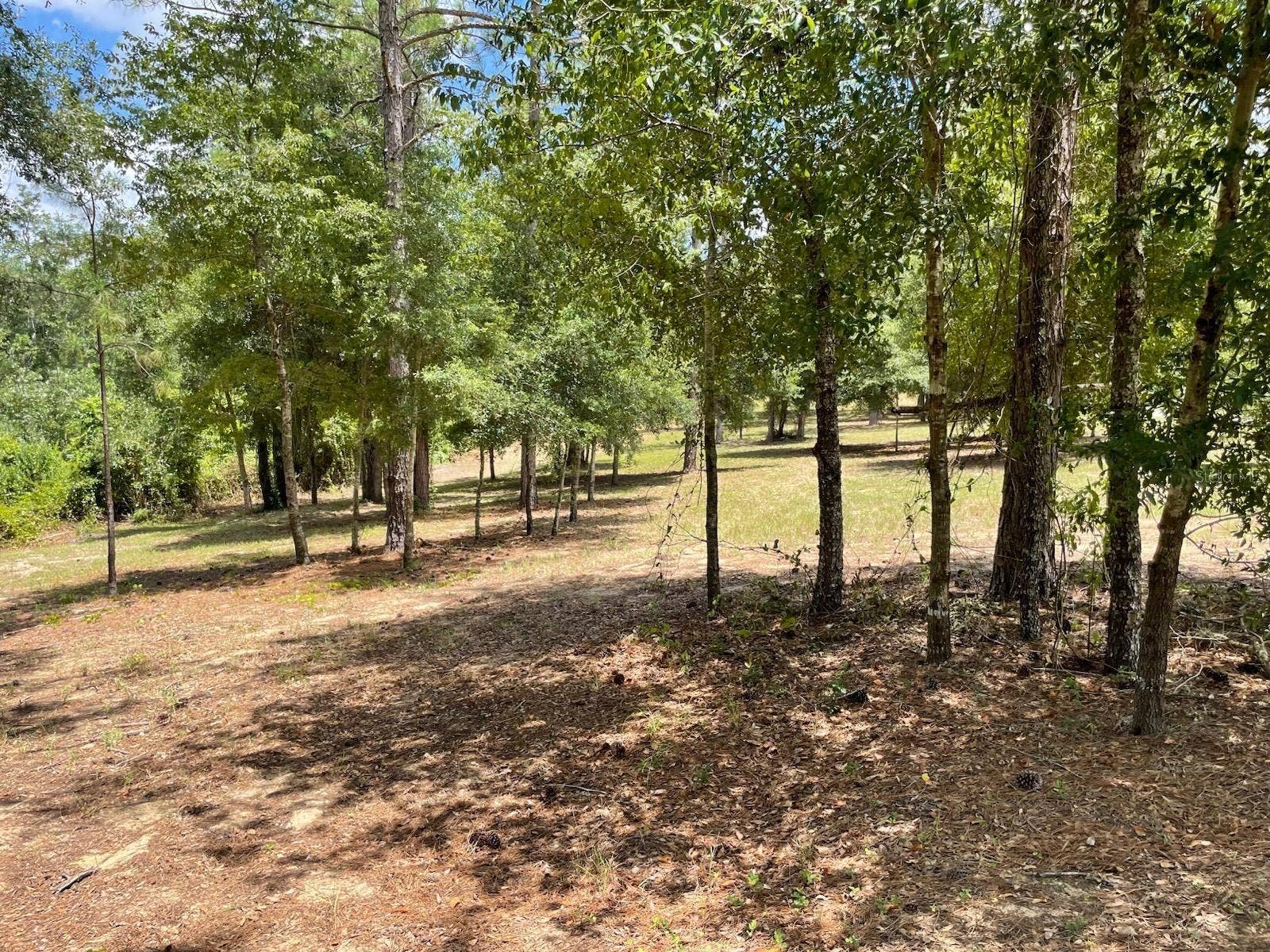 CALHOUN ROAD, Eustis, FL 32726 CALHOUN ROAD, Eustis, FL 32726