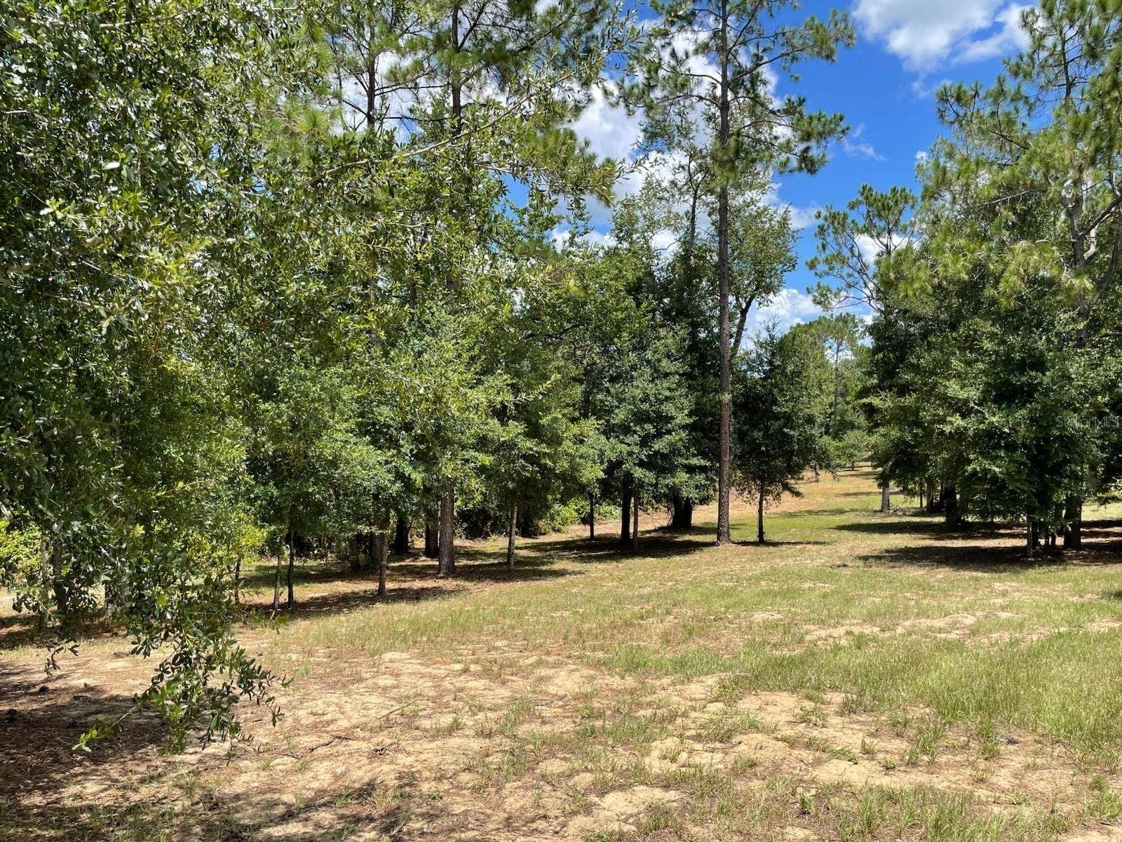 CALHOUN ROAD, Eustis, FL 32726 CALHOUN ROAD, Eustis, FL 32726