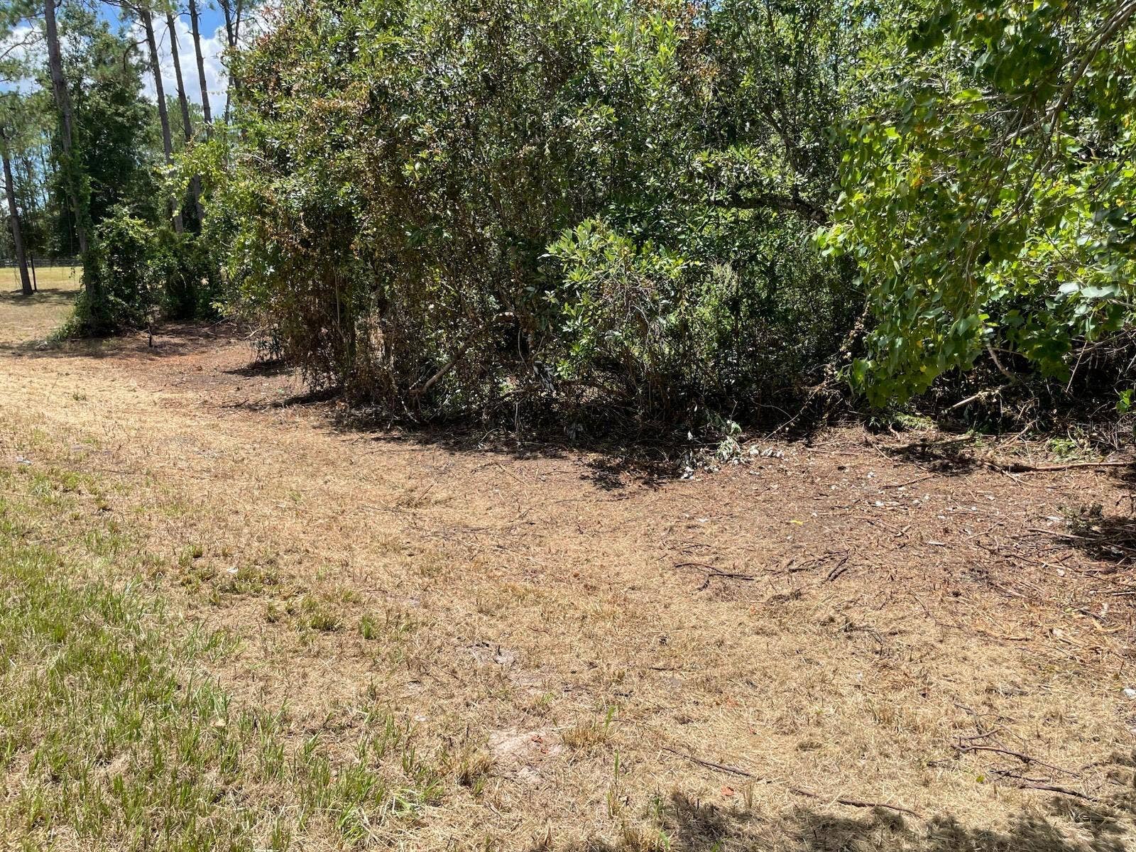 CALHOUN ROAD, Eustis, FL 32726 CALHOUN ROAD, Eustis, FL 32726
