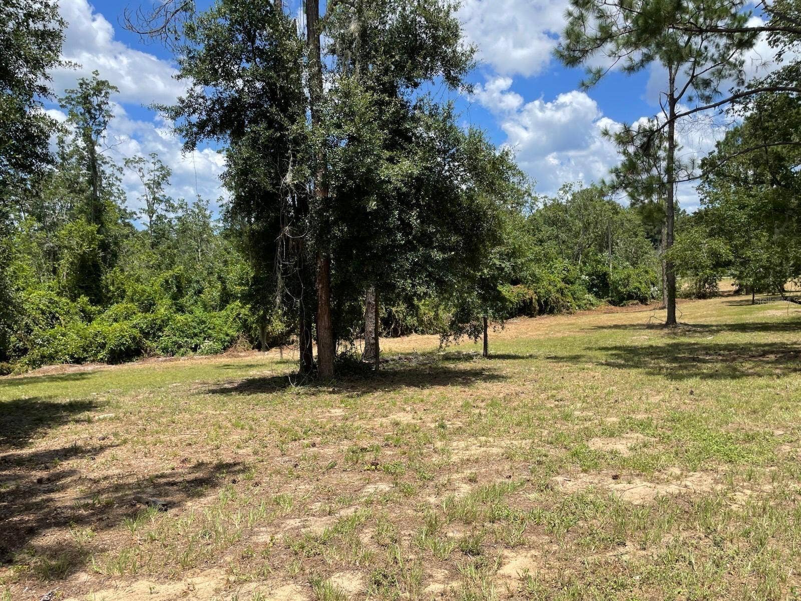 CALHOUN ROAD, Eustis, FL 32726 CALHOUN ROAD, Eustis, FL 32726