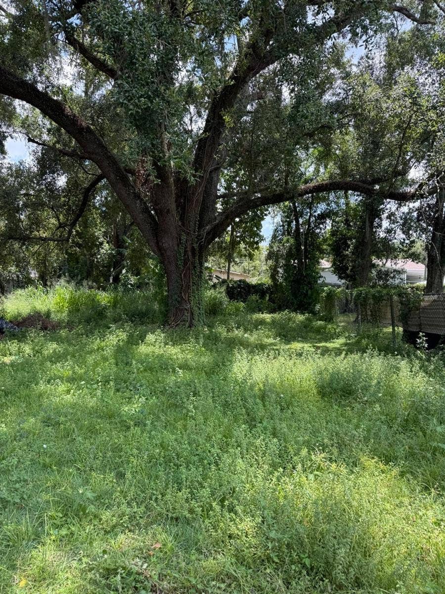 328 PINE STREET, Orlando, FL 32824 328 PINE STREET, Orlando, FL 32824